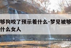 梦见被够狗咬了预示着什么-梦见被够狗咬了预示着什么女人