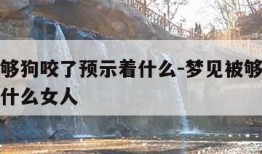 梦见被够狗咬了预示着什么-梦见被够狗咬了预示着什么女人