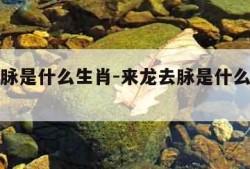 来龙去脉是什么生肖-来龙去脉是什么生肖正确答案