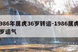 1986年属虎36岁转运-1986属虎36岁运气