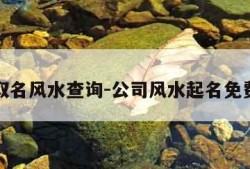 公司取名风水查询-公司风水起名免费测试