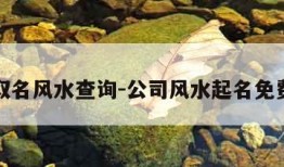 公司取名风水查询-公司风水起名免费测试