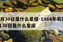 12月30日是什么星座-1984年农历12月30日是什么星座