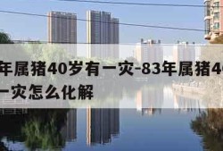 83年属猪40岁有一灾-83年属猪40岁有一灾怎么化解