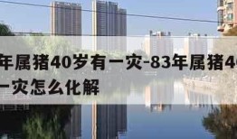 83年属猪40岁有一灾-83年属猪40岁有一灾怎么化解