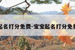 宝宝起名打分免费-宝宝起名打分免费测试