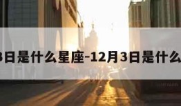 1月3日是什么星座-12月3日是什么星座