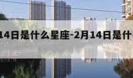 2月14日是什么星座-2月14日是什么节日?