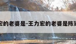 王力宏的老婆是-王力宏的老婆是陈建州吗