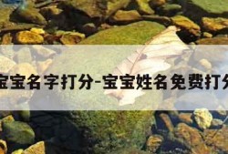 宝宝名字打分-宝宝姓名免费打分