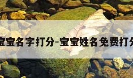 宝宝名字打分-宝宝姓名免费打分