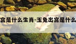 玉兔出宫是什么生肖-玉兔出宫是什么生肖数字