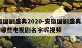 安徽国剧盛典2020-安徽国剧盛典2020有哪些电视剧名字呢视频