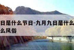 九月九日是什么节日-九月九日是什么节日古人有什么风俗