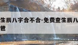 免费查生辰八字合不合-免费查生辰八字合不合认干爸