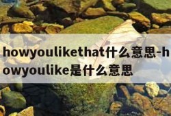 howyoulikethat什么意思-howyoulike是什么意思