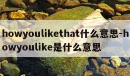 howyoulikethat什么意思-howyoulike是什么意思