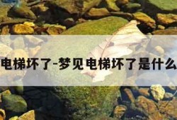 梦见电梯坏了-梦见电梯坏了是什么意思