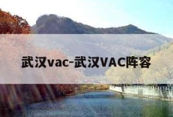 武汉vac-武汉VAC阵容