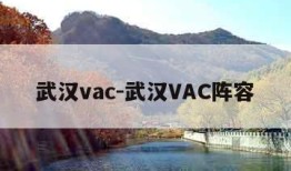 武汉vac-武汉VAC阵容