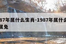 1987年属什么生肖-1987年属什么生肖属兔