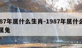 1987年属什么生肖-1987年属什么生肖属兔