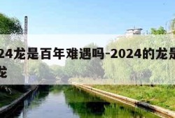 2024龙是百年难遇吗-2024的龙是什么龙