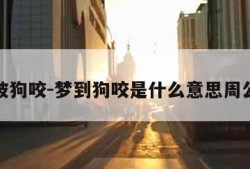 梦到被狗咬-梦到狗咬是什么意思周公解梦