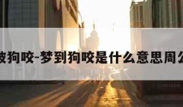 梦到被狗咬-梦到狗咬是什么意思周公解梦