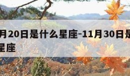 11月20日是什么星座-11月30日是什么星座