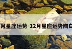 12月星座运势-12月星座运势陶白白