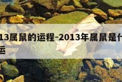 2013属鼠的运程-2013年属鼠是什么命运