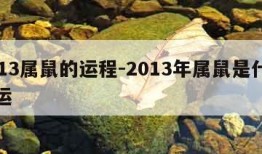 2013属鼠的运程-2013年属鼠是什么命运