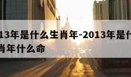 2013年是什么生肖年-2013年是什么生肖年什么命