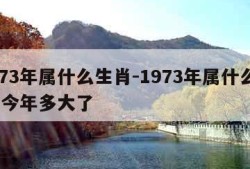 1973年属什么生肖-1973年属什么生肖 今年多大了