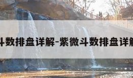 紫微斗数排盘详解-紫微斗数排盘详解顺序