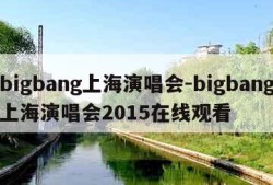 bigbang上海演唱会-bigbang上海演唱会2015在线观看