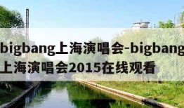 bigbang上海演唱会-bigbang上海演唱会2015在线观看