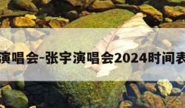 张宇演唱会-张宇演唱会2024时间表最新