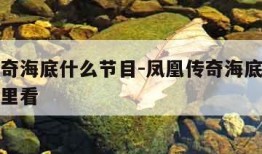 凤凰传奇海底什么节目-凤凰传奇海底什么节目在哪里看