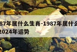 1987年属什么生肖-1987年属什么生肖2024年运势