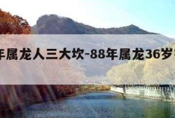 88年属龙人三大坎-88年属龙36岁有一灾