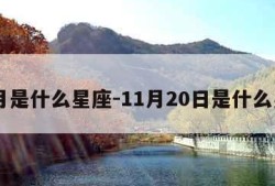 11月是什么星座-11月20日是什么星座