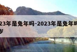 2023年是兔年吗-2023年是兔年吗多少岁