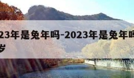 2023年是兔年吗-2023年是兔年吗多少岁