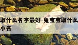 兔宝宝取什么名字最好-兔宝宝取什么名字最好男孩小名