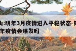 钟南山:明年3月疫情进入平稳状态-钟南山2021年疫情会爆发吗