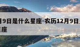 12月9日是什么星座-农历12月9日是什么星座