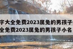 取名字大全免费2023属兔的男孩子-取名字大全免费2023属兔的男孩子小名