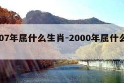 2007年属什么生肖-2000年属什么生肖